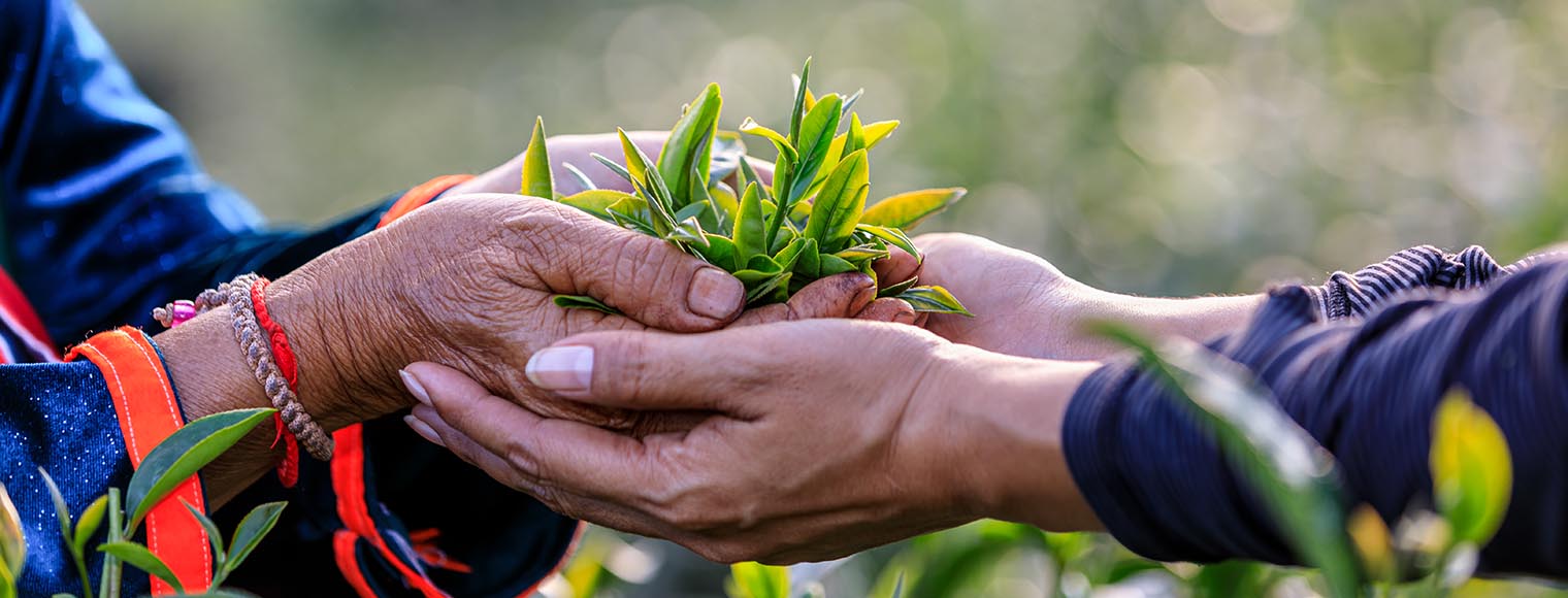 Vous accompagner dans une transition durable
